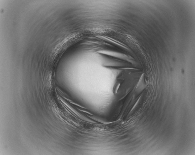 X0000052540596200507221427