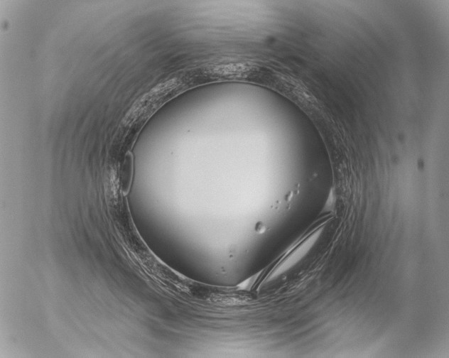 X0000052540597200507221427