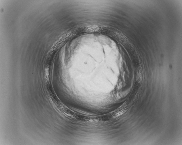 X0000052540598200507221427