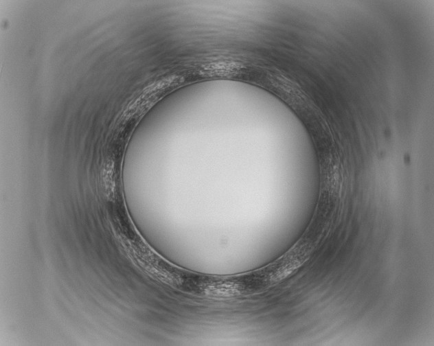 X0000052540599200507221427