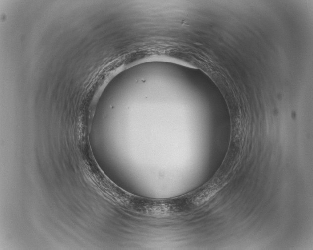 X0000052540600200507221427