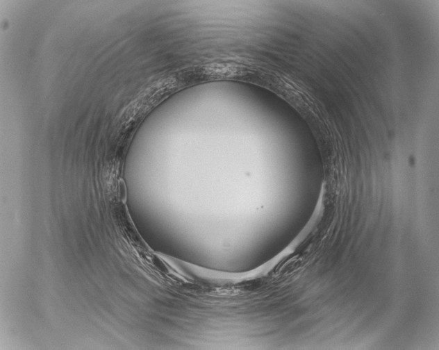 X0000052540601200507221427