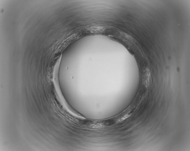 X0000052540604200507221427