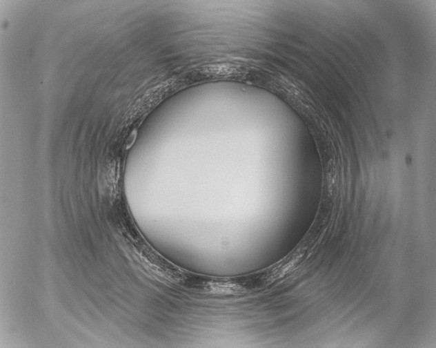 X0000052540605200507221427