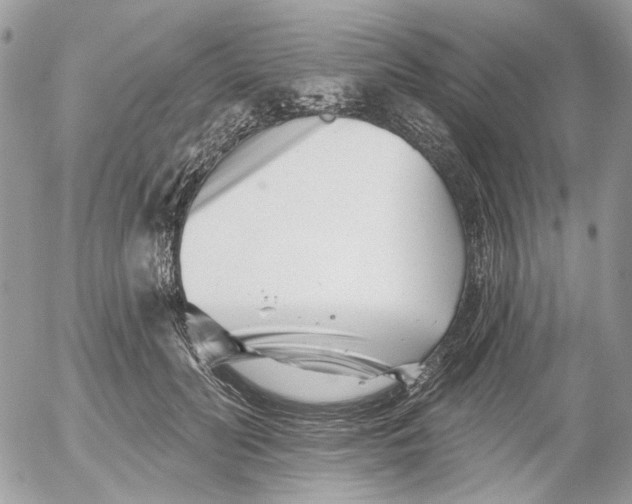 X0000052540606200507221427