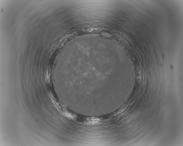 X0000052540607200507221427