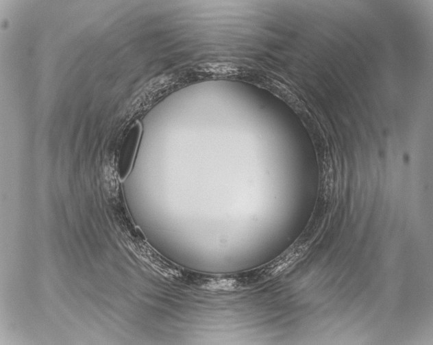 X0000052540609200507221427