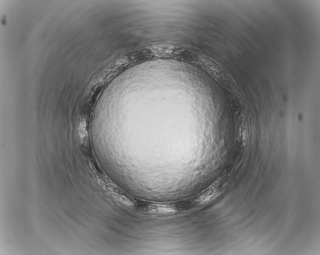 X0000052540610200507221427