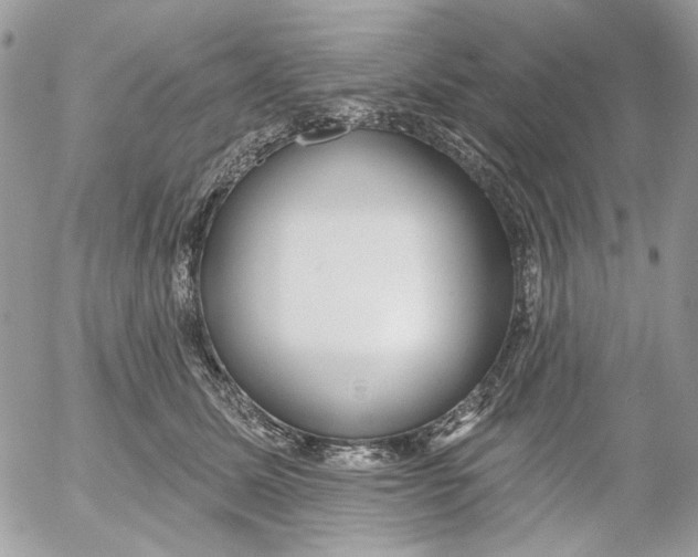 X0000052540611200507221427