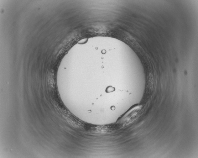 X0000052540612200507221427