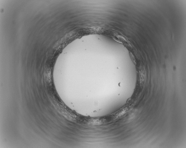 X0000052540613200507221427