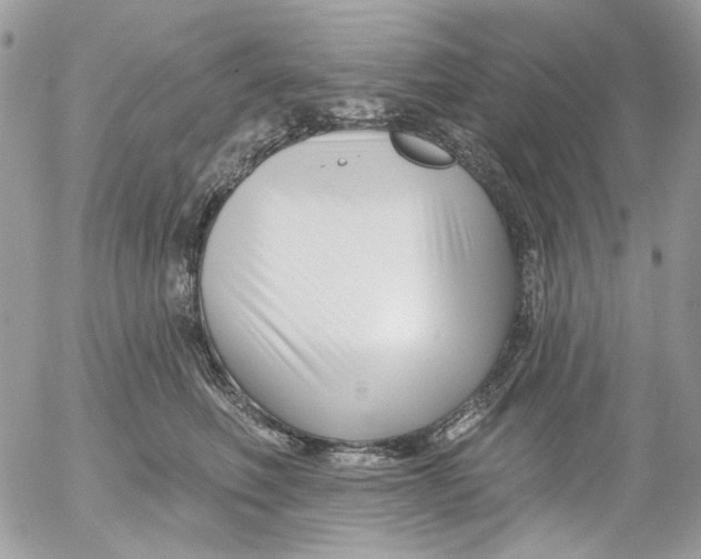 X0000052540614200507221427