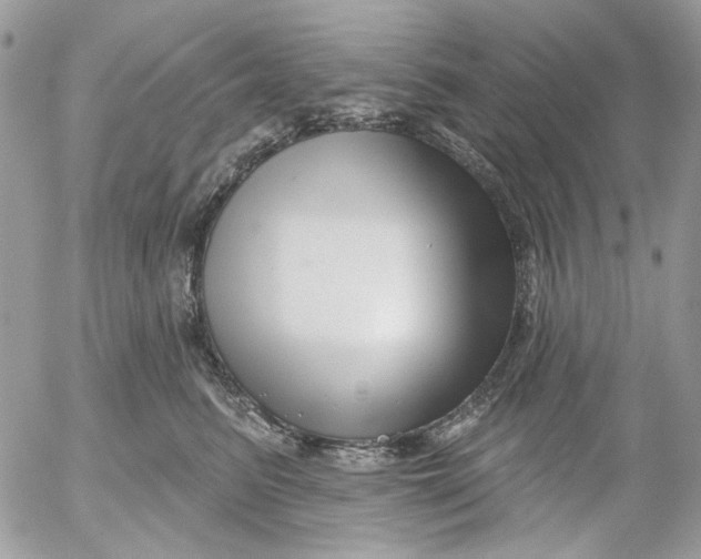 X0000052540615200507221427