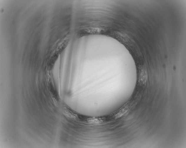 X0000052540616200507221427