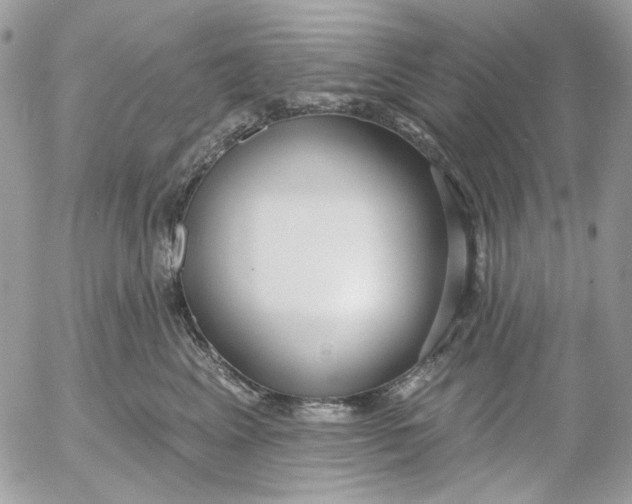 X0000052540617200507221427