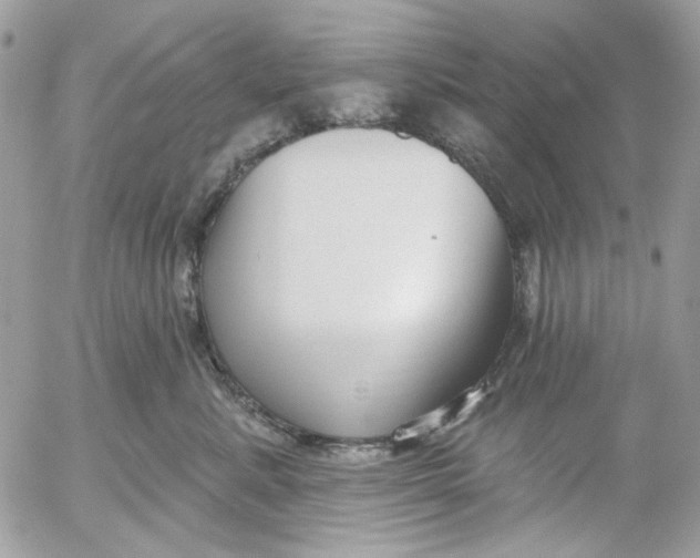 X0000052540619200507221427