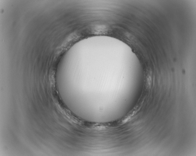 X0000052540620200507221427