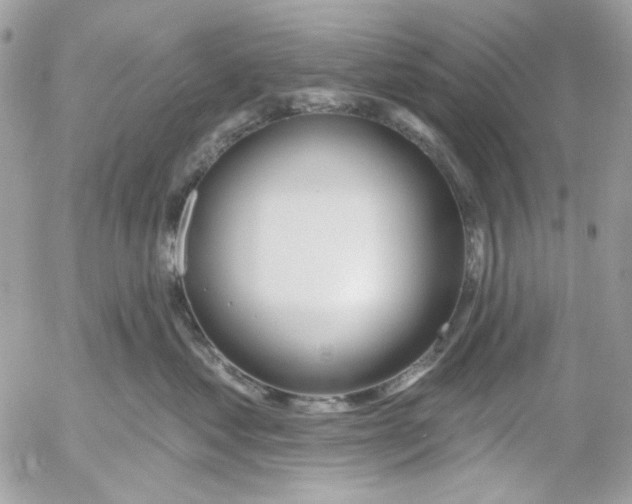 X0000052540621200507221427