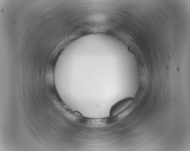 X0000052540622200507221427