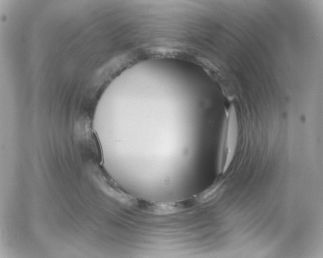 X0000052540623200507221427