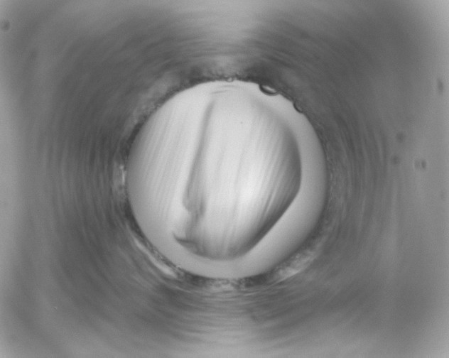 X0000052540624200507221427