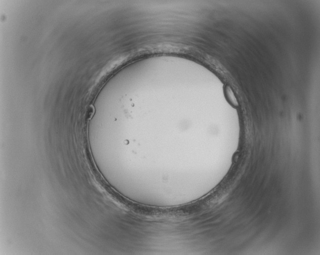 X0000052540625200507221426