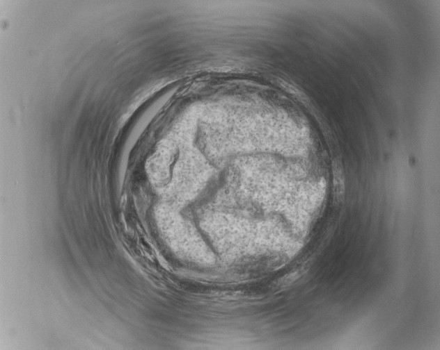 X0000052540626200507221426