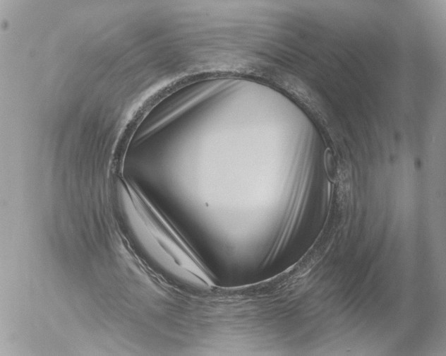 X0000052540628200507221426