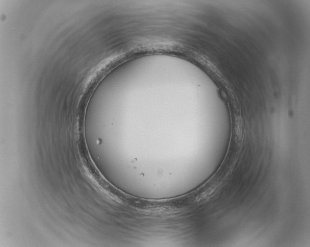 X0000052540629200507221426