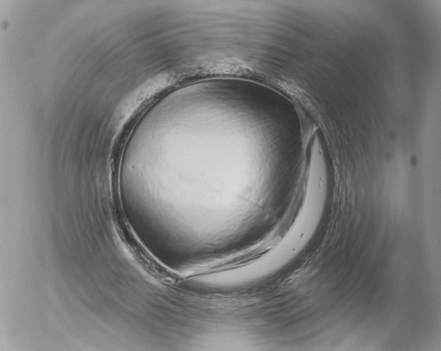 X0000052540630200507221426