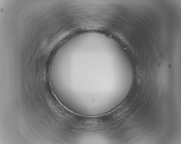 X0000052540631200507221426