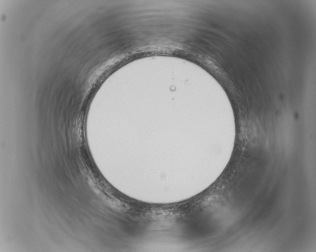 X0000052540632200507221426