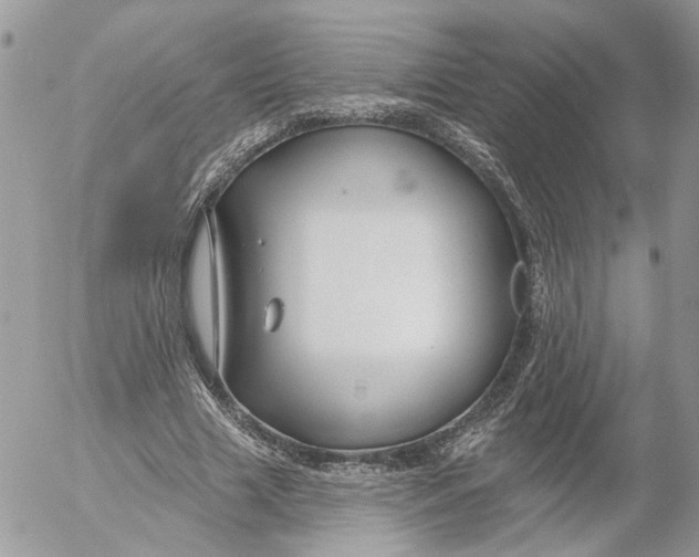 X0000052540633200507221426