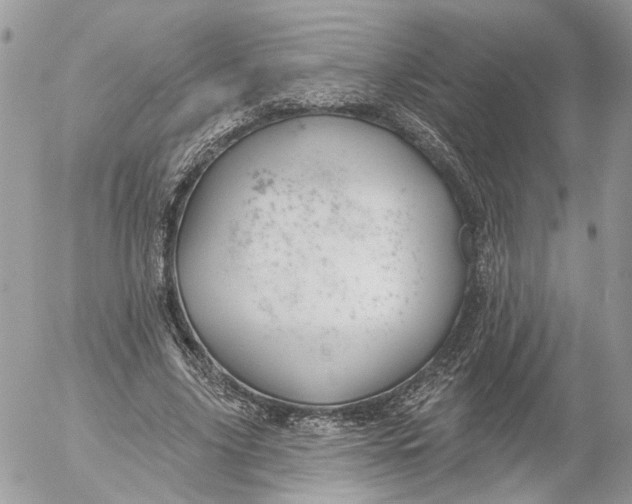 X0000052540635200507221426