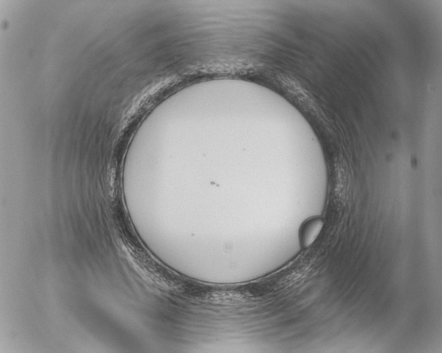 X0000052540636200507221426