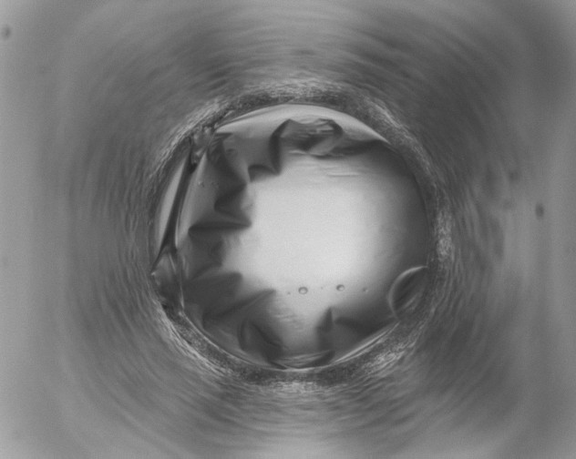 X0000052540637200507221426