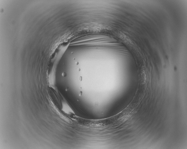 X0000052540638200507221426