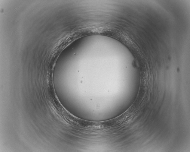 X0000052540639200507221426