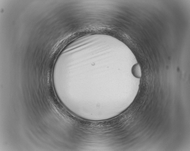 X0000052540640200507221426