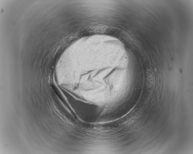 X0000052540641200507221426