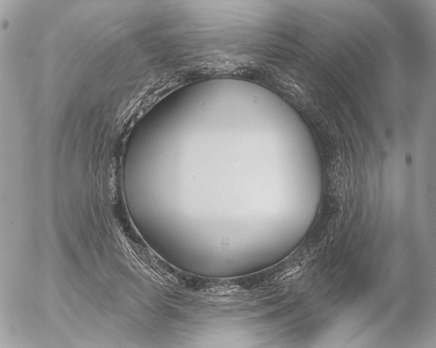 X0000052540642200507221427