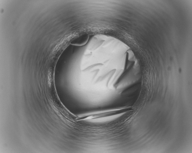 X0000052540644200507221427