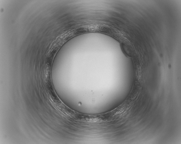 X0000052540645200507221427