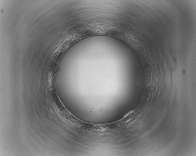 X0000052540646200507221427