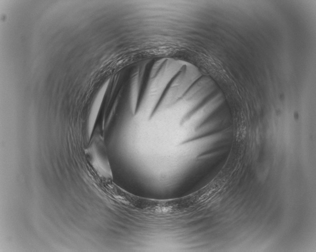 X0000052540647200507221427