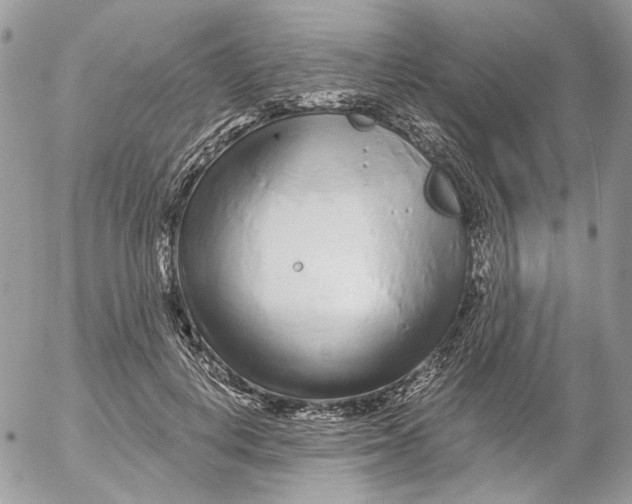 X0000052540648200507221427