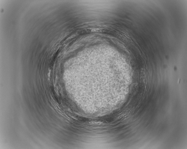 X0000052540650200507221427