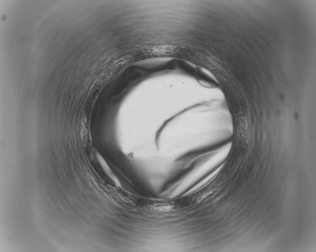 X0000052540651200507221427