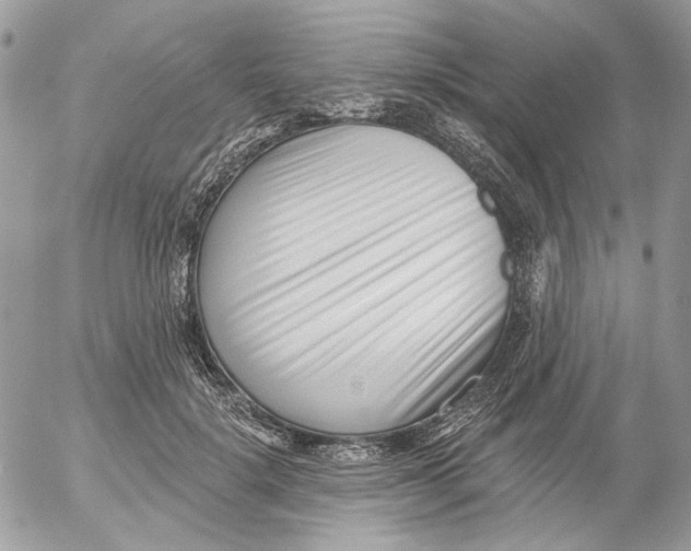 X0000052540652200507221427