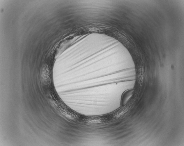 X0000052540653200507221427